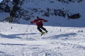 \03 misiek.jpg (61130 bytes)